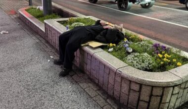 Napping in a flower bed in Shibuya