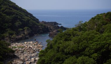 Yakushima Island