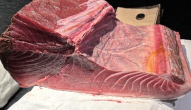 Storing Wild Bluefin