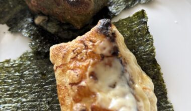 “Fried” some mochi (yomogi in the back) in the fish grill for lunch