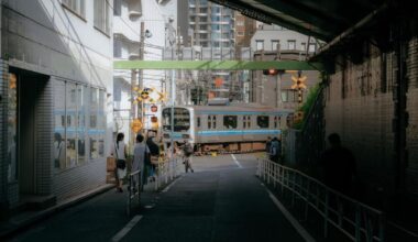 Summer in Tokyo
