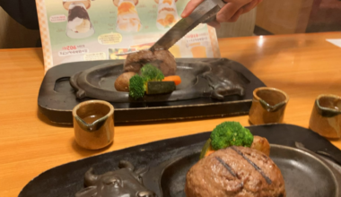 I ate table-side cut & sear of Sawayaka Hamburg steak — timelapse from Shizuoka