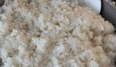 I should have bought a rice cooker way earlier….