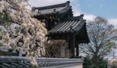 Where Cherry Blossoms Bloom in Remembrance: Jigen-ji Temple in Odawara・慈眼寺の松月：元禄地震犠牲者供養の寺