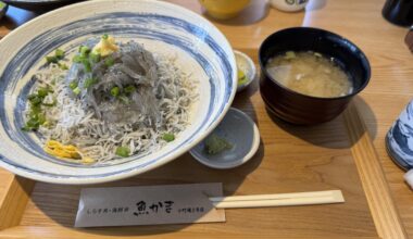 しらす丼