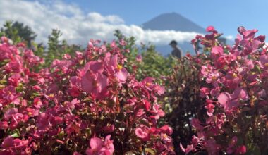 A Snowless Mt. Fuji (Sept. 2024)