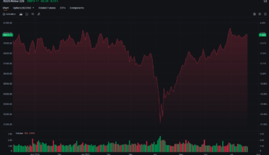 Hedge Funds Dump Japan Stocks at Record Pace, Election Sparks Market Jitters
