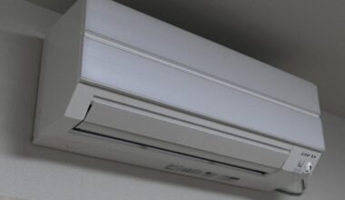 Study finds 213 deaths in Tokyo apparently caused by improper air conditioners use - some people set it to heating instead of cooling, or the remote control ran out of batteries