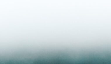 Moody Hakone snap