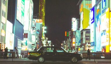 dōtonbori nights, a photo series