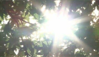 Heatwave Expected to Intensify from Weekend to Next Week - Heatstroke Risk Rises as Record Hot Days Increase; Eastern and Northern Japan Nearing End of Rainy Season