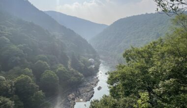 Just came back from my first solo trip to Japan , this was in Arashiyama