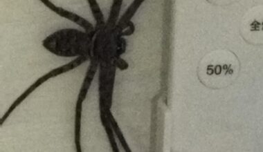 Friend or foe?