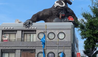 Just, y'know, a random gorilla on top of a building.