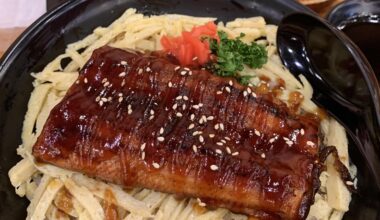 I ordered some Unagi don for lunch.