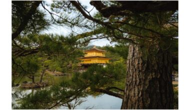 Kinkakuji and Senjusangendo in Kyoto