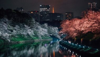 Chidorigafuchi Park from day to night