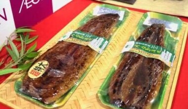 Eel Market Heats Up with Summer: Focus on Reasonable Prices