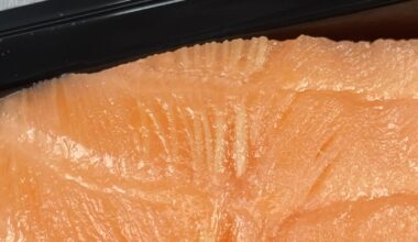 What are these tan fibers/lines on the Salmon?