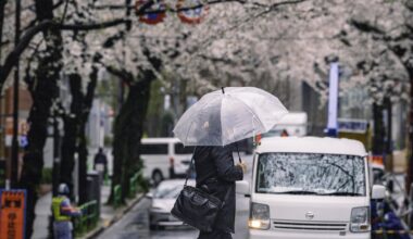 The Blossom - April 2025