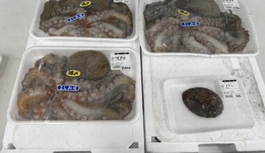 Tai & Tako at local farmer’s market. Sashimi grade.