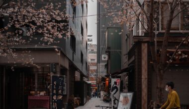 Tokyo 2023 Cherry Blossom
