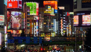 Just another view from *that* overpass, Shinjuku, Tokyo