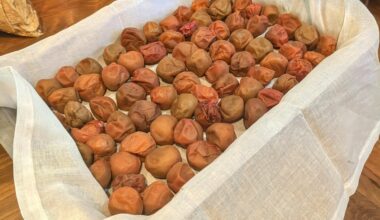 A summer project in the works, umeboshi!