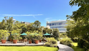 Takashimaya rooftop park (Futako-Tamagawa)