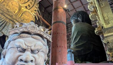 At Buddha's side - Nara