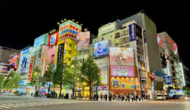 the glow of neon lights at night in Tokyo / Osaka
