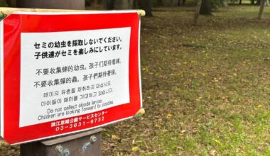 "They're eating the cicadas": Signs put up prohibiting catching cicada larvae in Tokyo parks