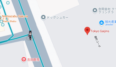 Why does streetview now have anime girl?