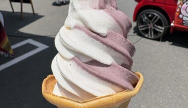 Blueberry ice cream in gunma