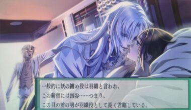 So, I'm reading this VN and I'm both confused and intrigued about the term 羽織