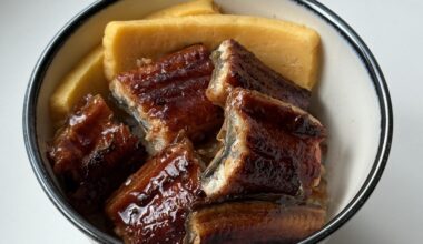 Mini unagi don