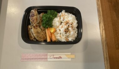 Home made gyoza bento