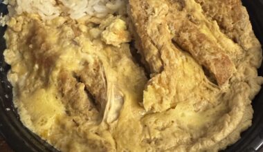 Is this normal? It’s supposed to be a pork katsu don. I have no idea what I’m looking at.