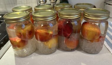 Peach Umeshu Experiment
