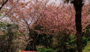 Onsen town in the spring