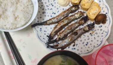 Grilled Shishamo and Tamagoyaki