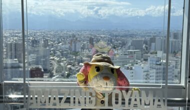 The view from the Toyama City Hall Observatory