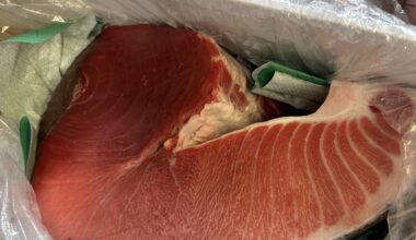 Bluefin tuna toro I used