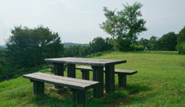 Oyamada Ryokuchi Park - Miharashi Hiroba