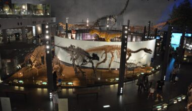 A day in the Fukui city area