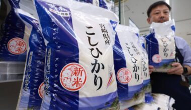 Japan's first rice crop of 2025 goes on sale at high prices
