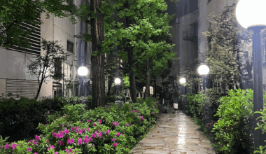 Question about an alley in Shinjuku