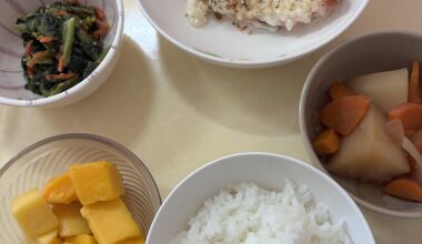 Japanese hospital meals