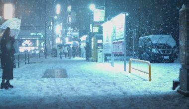 Tokyo blizzard