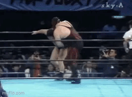 Tatsumi Fujinami manages to get Big Van Vader over.